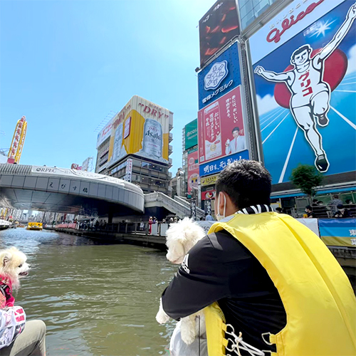 愛犬と一緒の参加もOK！