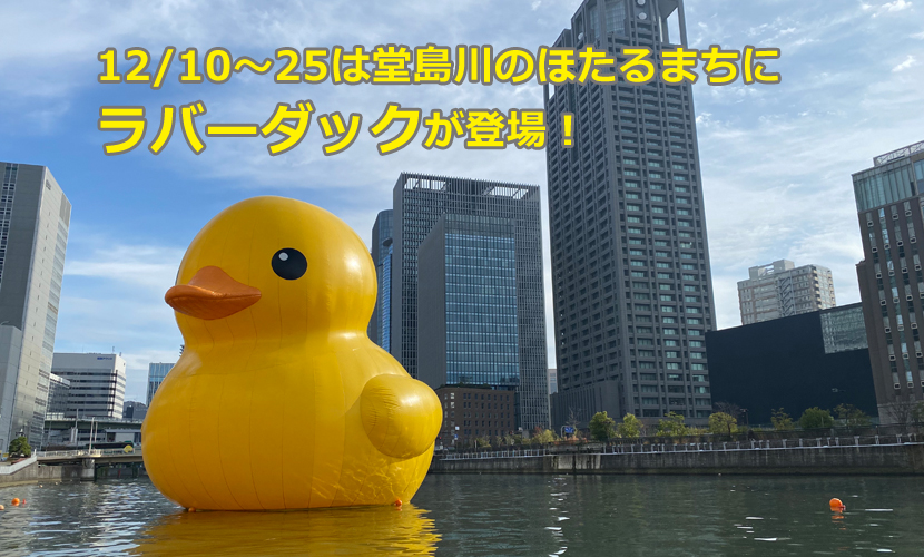 ラバーダックが見られます