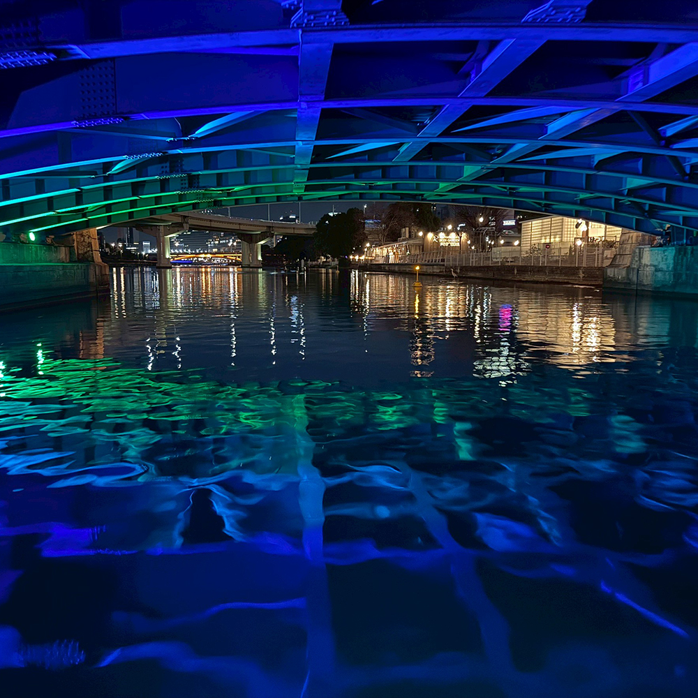 橋のライトアップ