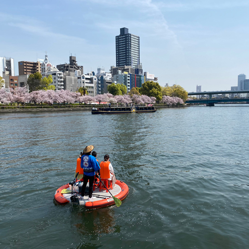 大川桜クルーズ