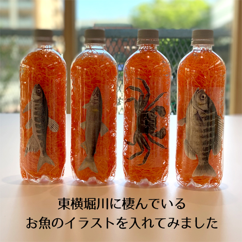 魚をペットボトルに入れました