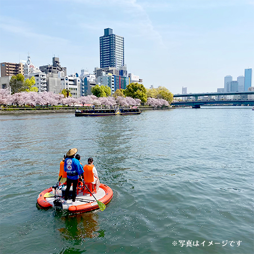 桜を眺めるツアー