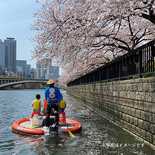 桜のトンネル