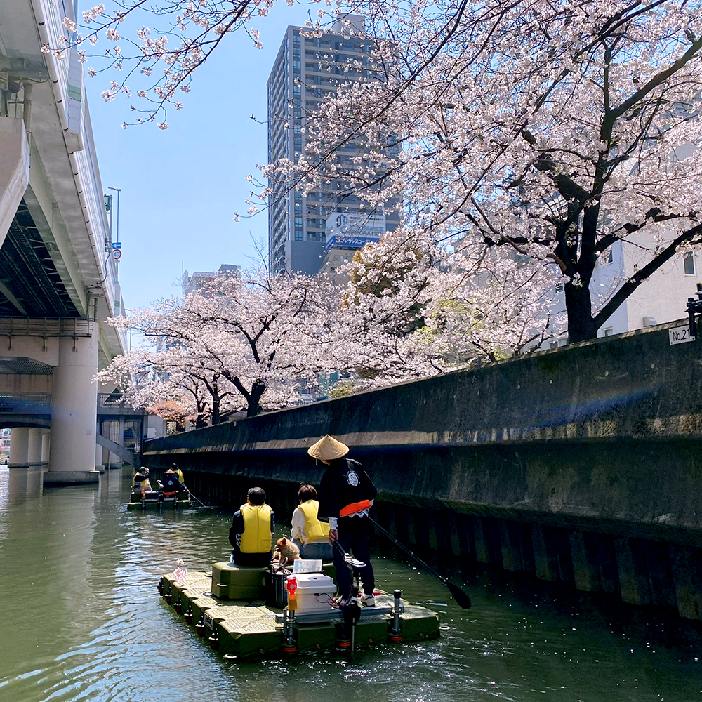 東横堀川の桜