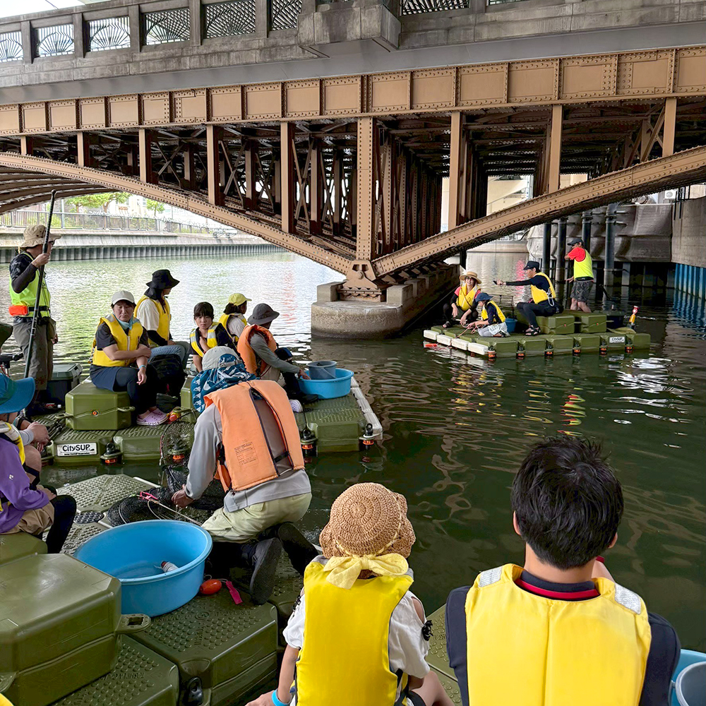東横堀川で生き物調査
