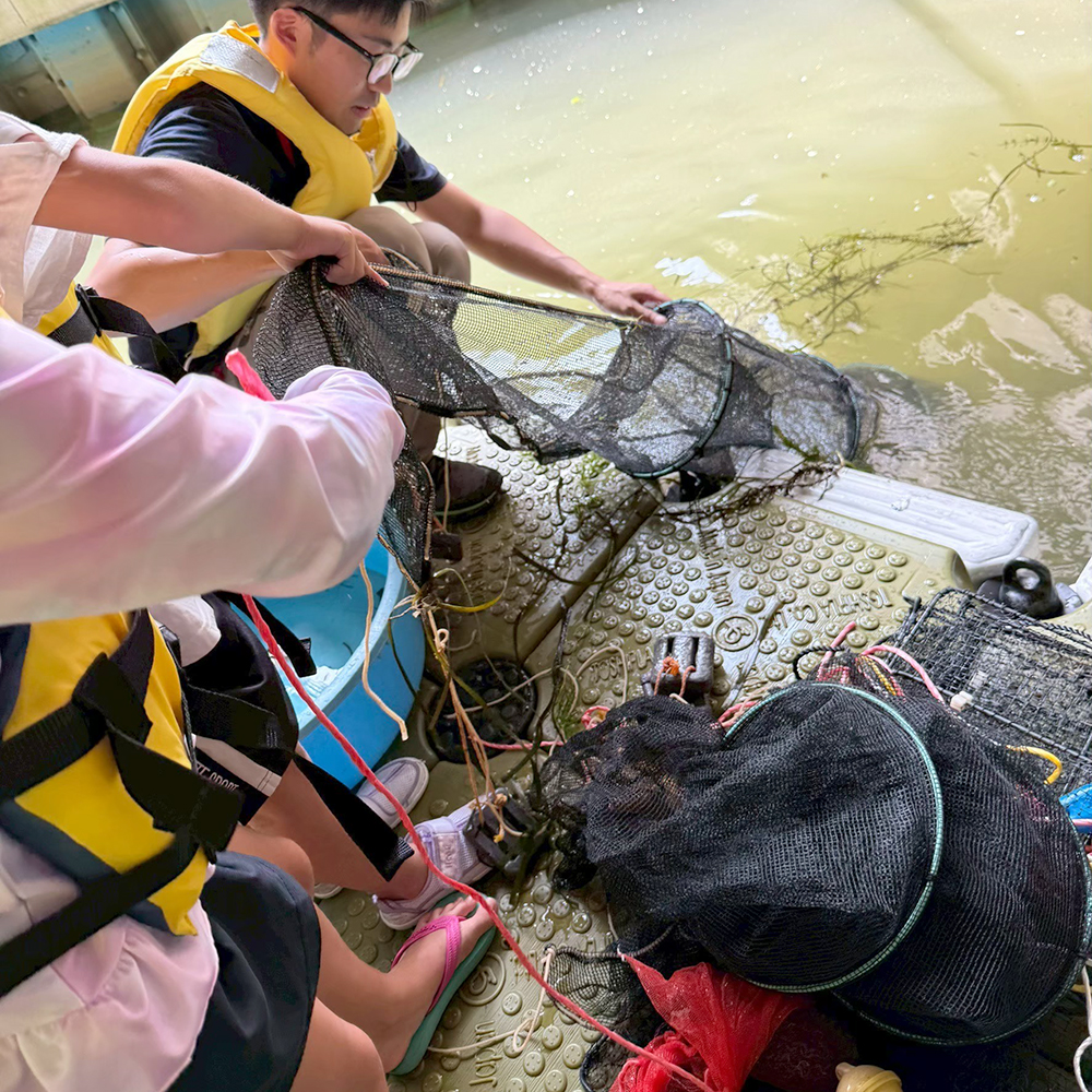 仕掛けの引き上げ