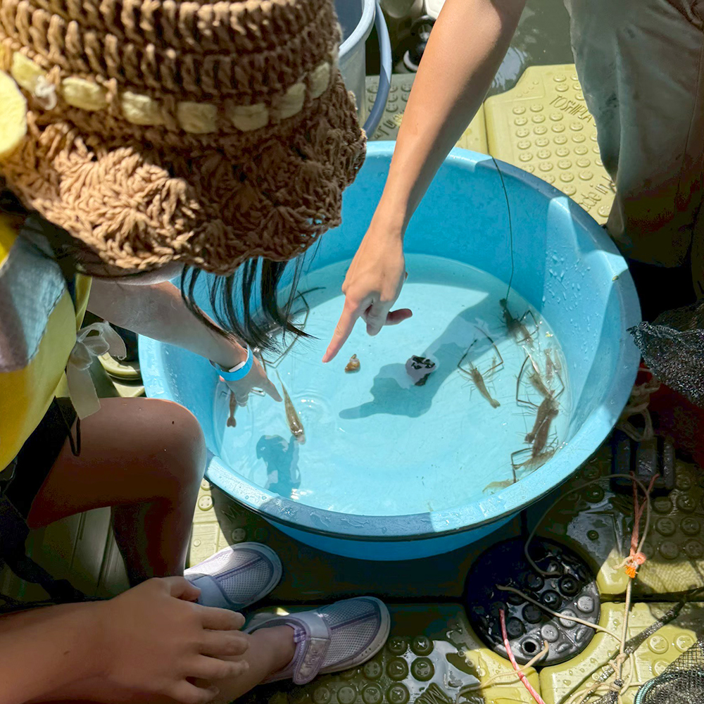 何がとれたかな？