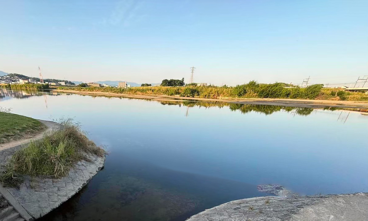 大和川