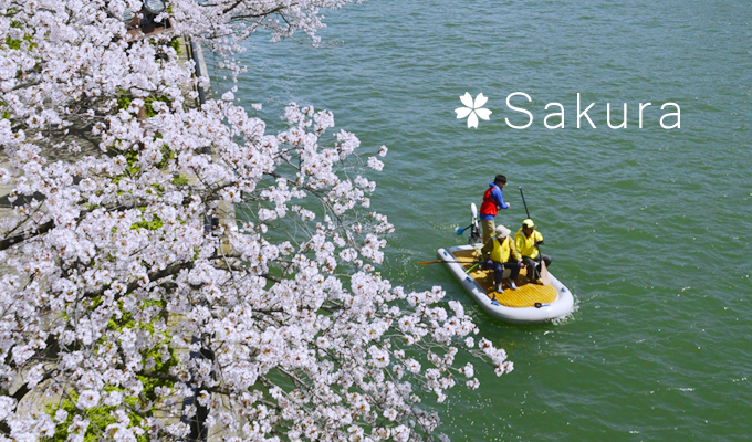 お花見ツアー