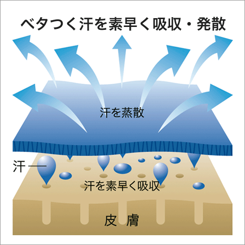 素材の特徴